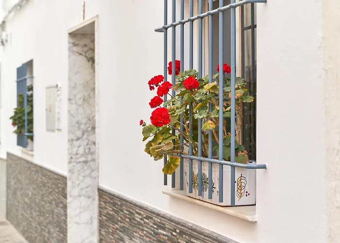 Apartment 250 M From The Beach